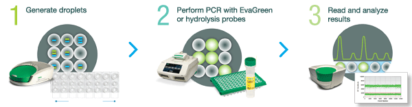 QX200 Droplet Digital PCR 系统工作流程