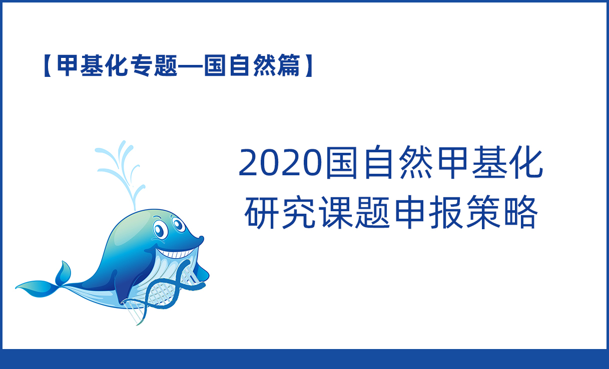 【2020甲基化专题】国自然篇：2020国自然甲基化 研究课题申报策略