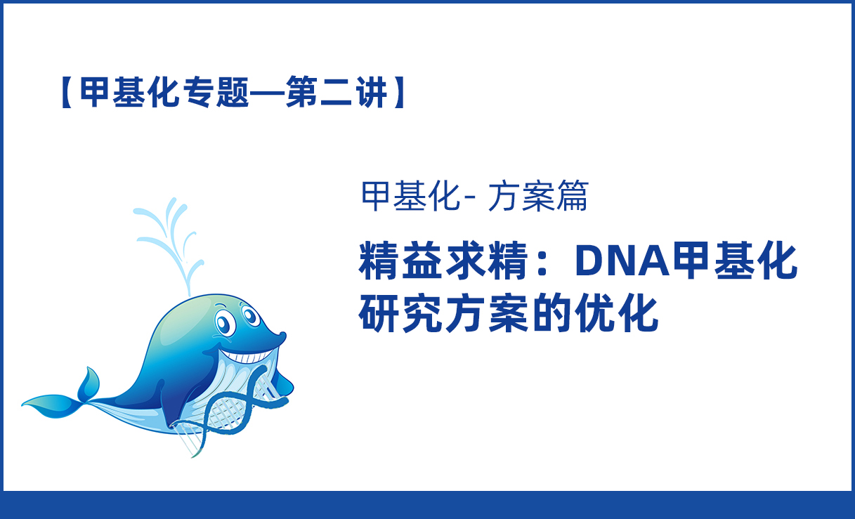【2020甲基化专题】第二讲：DNA甲基化研究方案的优化
