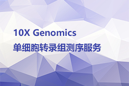 10X Genomics单细胞转录组测序服务