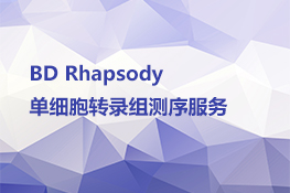 BD Rhapsody单细胞转录组测序服务