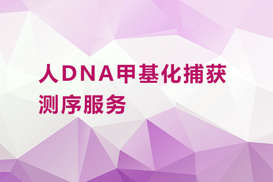 人DNA甲基化捕获测序服务