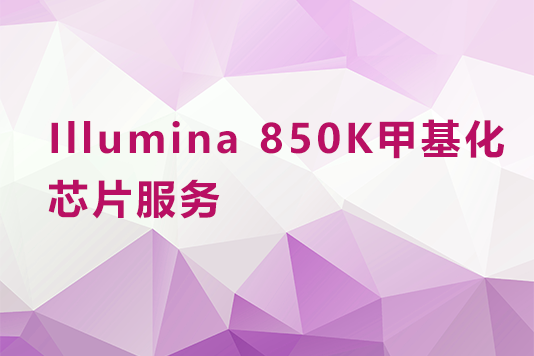 Illumina 850K甲基化芯片服务